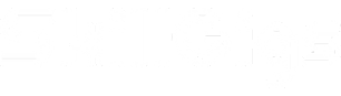 Skillsgig logo